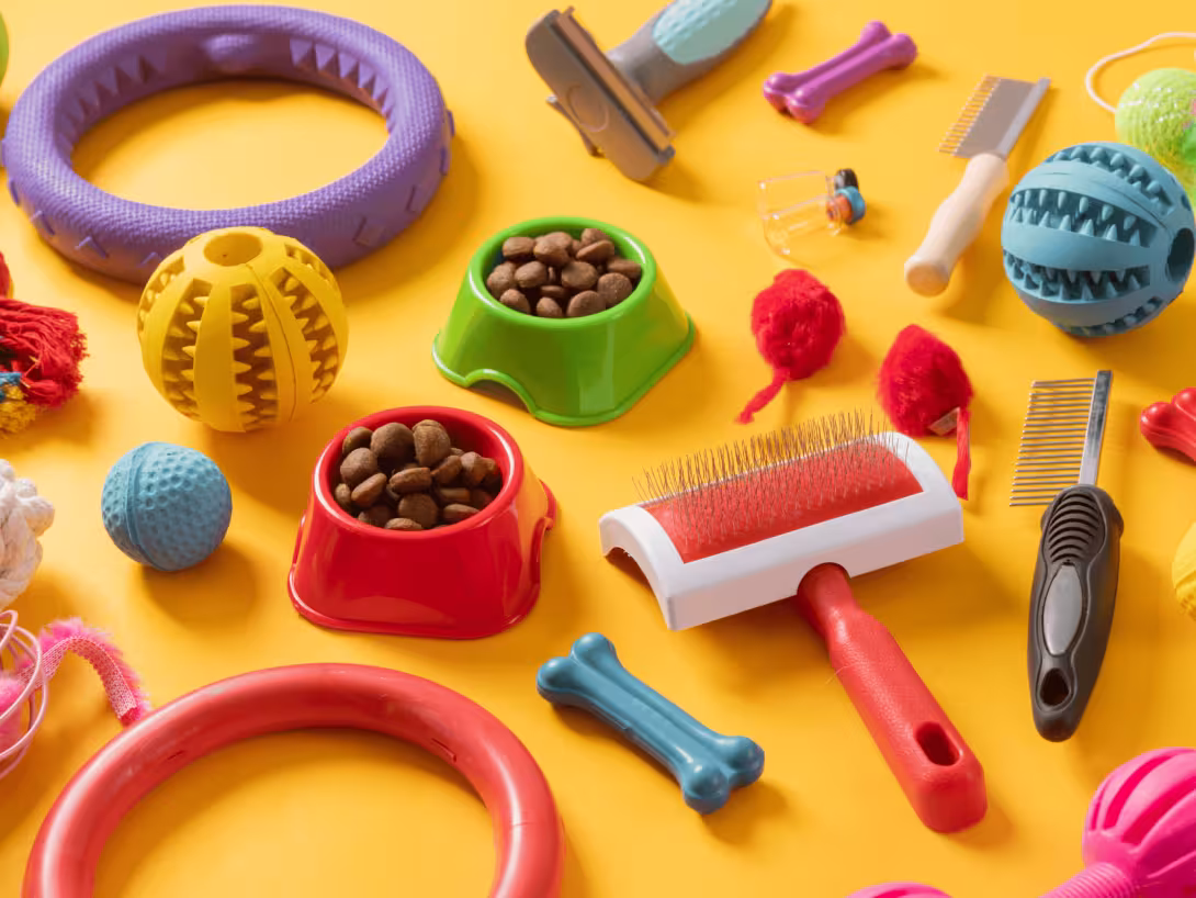 Special Dog, Origens e Royal Canin lideram tendência de alimentação saudável para pets